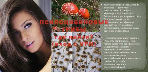 2c-b Бородино