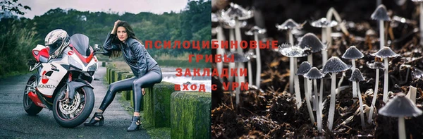 ALPHA PVP Бугульма
