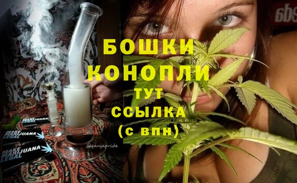 2c-b Бородино